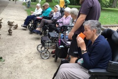 Picknick mit unseren Praktikanten